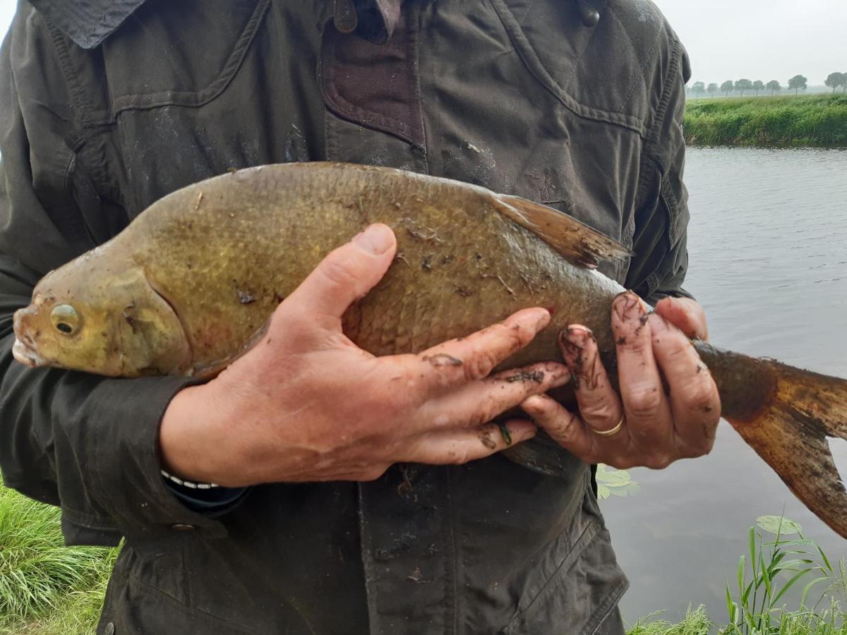 Vakantiehuis De Veldhoen Vrijgelegen Nabij De Rivier De Vecht Beerze Eksteriør billede